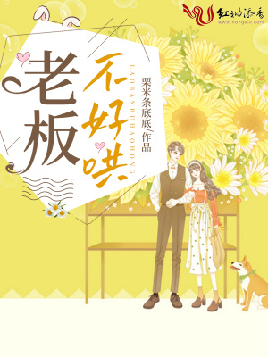 叶宁罗舞苏倾城免费看小说